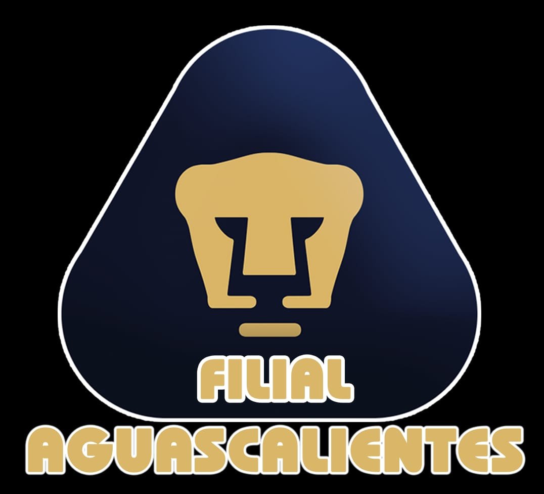 Escuela Filial Pumas Aguascalientes